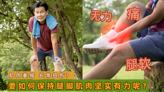 【速宝妈之健肌补】一款有助于健肌强肾的免煮汤饮。 - Food Art Store