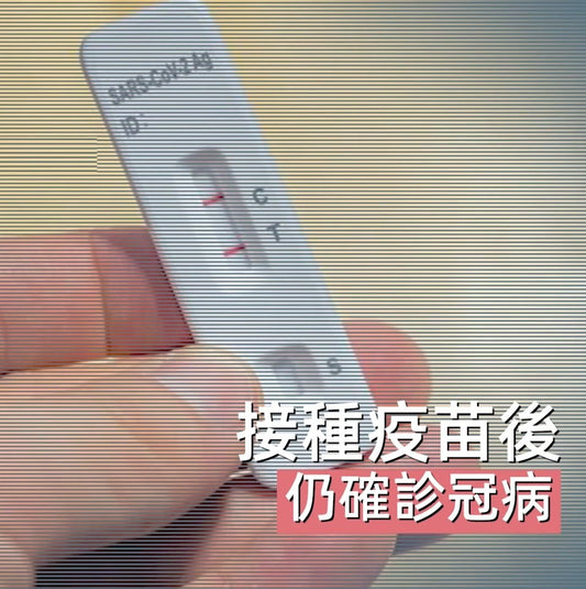 速宝妈之【疫后补】提神补气,健脾补肺,抗菌解毒 - Food Art Store