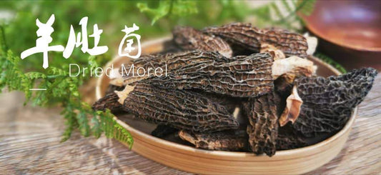 #羊肚菌知多少? 💁🏻♀️ - Food Art Store