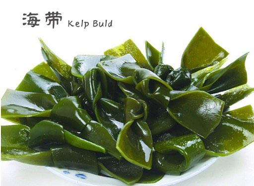 海带 | Kelp Buld - Food Art Store