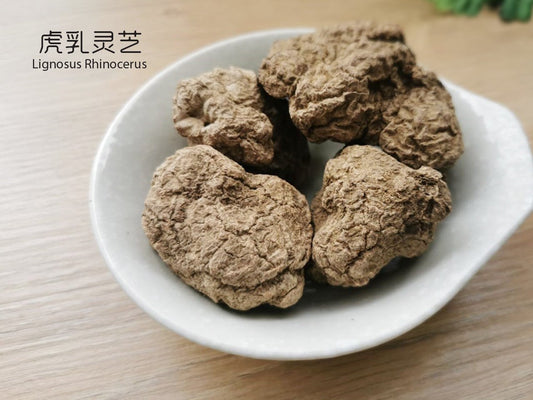 虎乳灵芝 || Lignosus Rhinocerus - Food Art Store