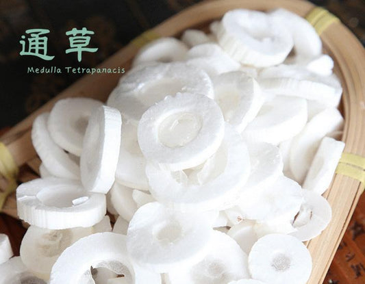 通草 Medulla tetrapanacis - Food Art Store