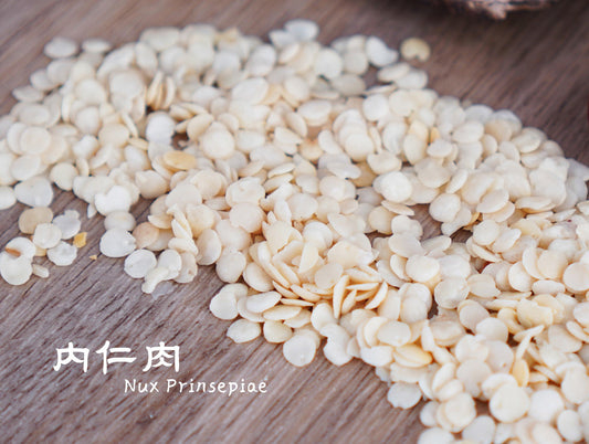 内仁肉 || Nux Prinsepiae - Food Art Store
