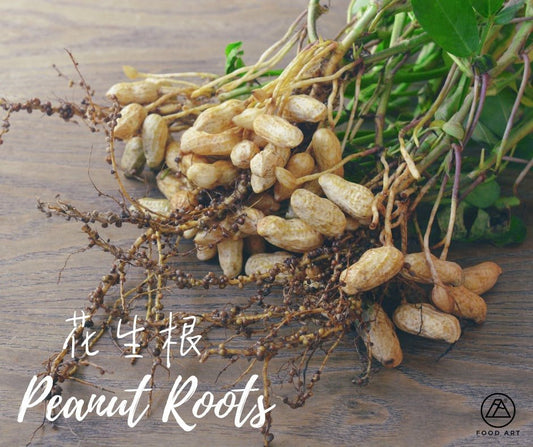 Peanut Root - Food Art Store