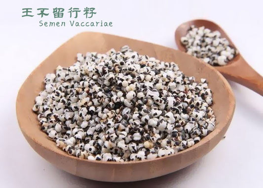 王不留行籽 Semen Vaccariae - Food Art Store