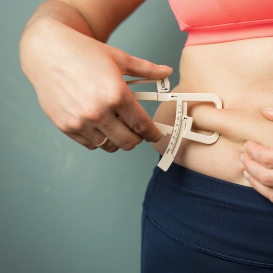 Unlocking Weight Wisdom: Tapping into Energy and Blood Balance with TCM - Food Art Store