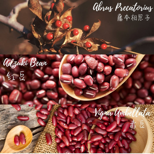 红豆一般有哪些种类呢? 🤷🏻♀️ What kind of red beans do we usually eat? - Food Art Store