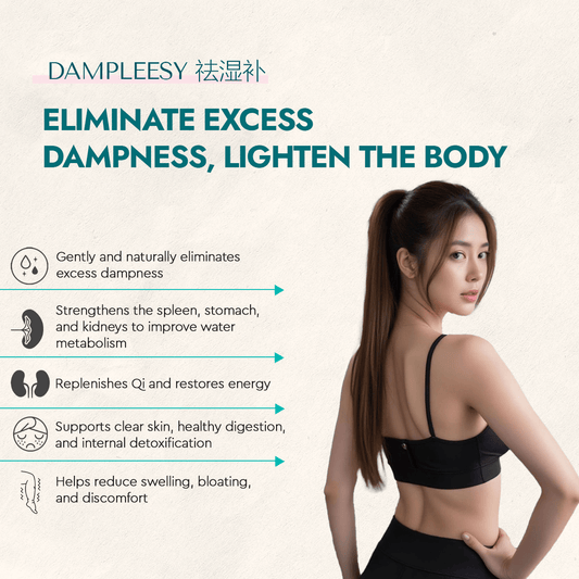 Dampleesy - Food Art Store