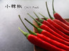 🌶 小辣椒 || Chili Padi 🌶 - Food Art Store