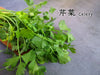 🥬 芹菜知多少? || Crunchy 𝗰𝗲𝗹𝗲𝗿𝘆 has several health benefits that may surprise you ‼️ - Food Art Store