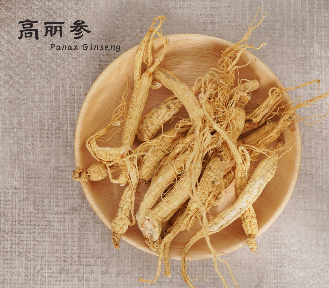 高丽参 || Panax Ginseng - Food Art Store
