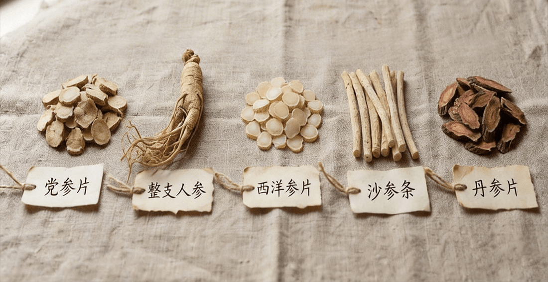 So Many Types of "Ginseng", Which One's Actually Right For You? - Food Art Store