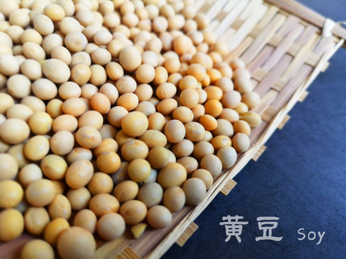 #大豆 || Soybeans - Food Art Store