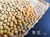 #大豆 || Soybeans - Food Art Store
