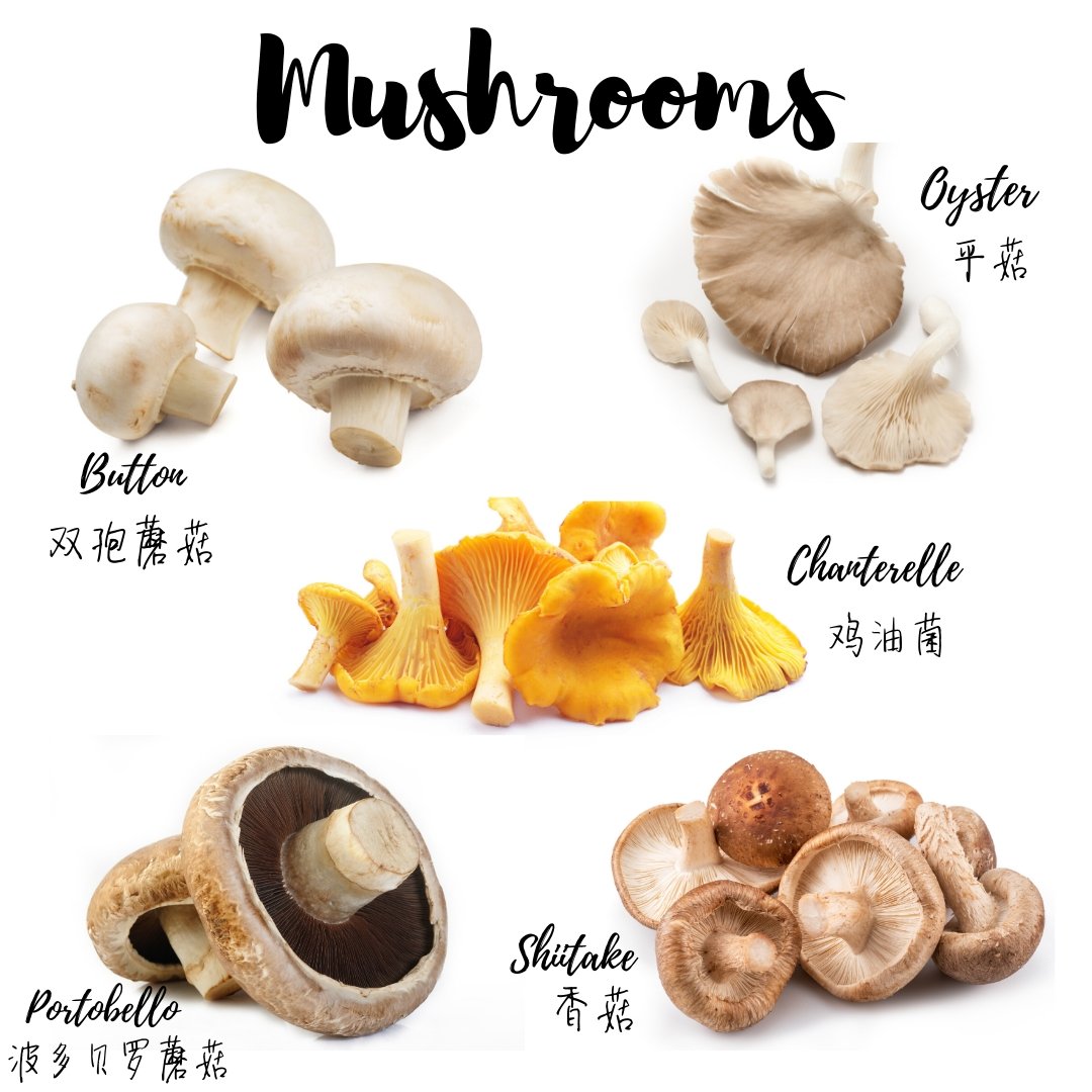 🍄 #菇类知多少 || Type of Mushrooms 🍄 - Food Art Store
