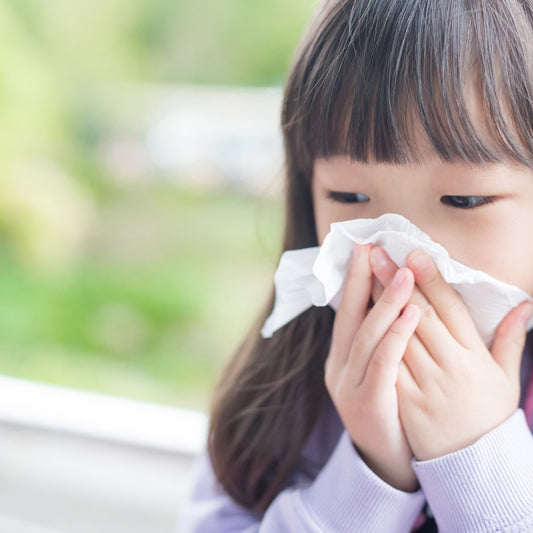 Understanding Nose Allergies in Southeast Asian Children: Causes and Remedies - Food Art Store