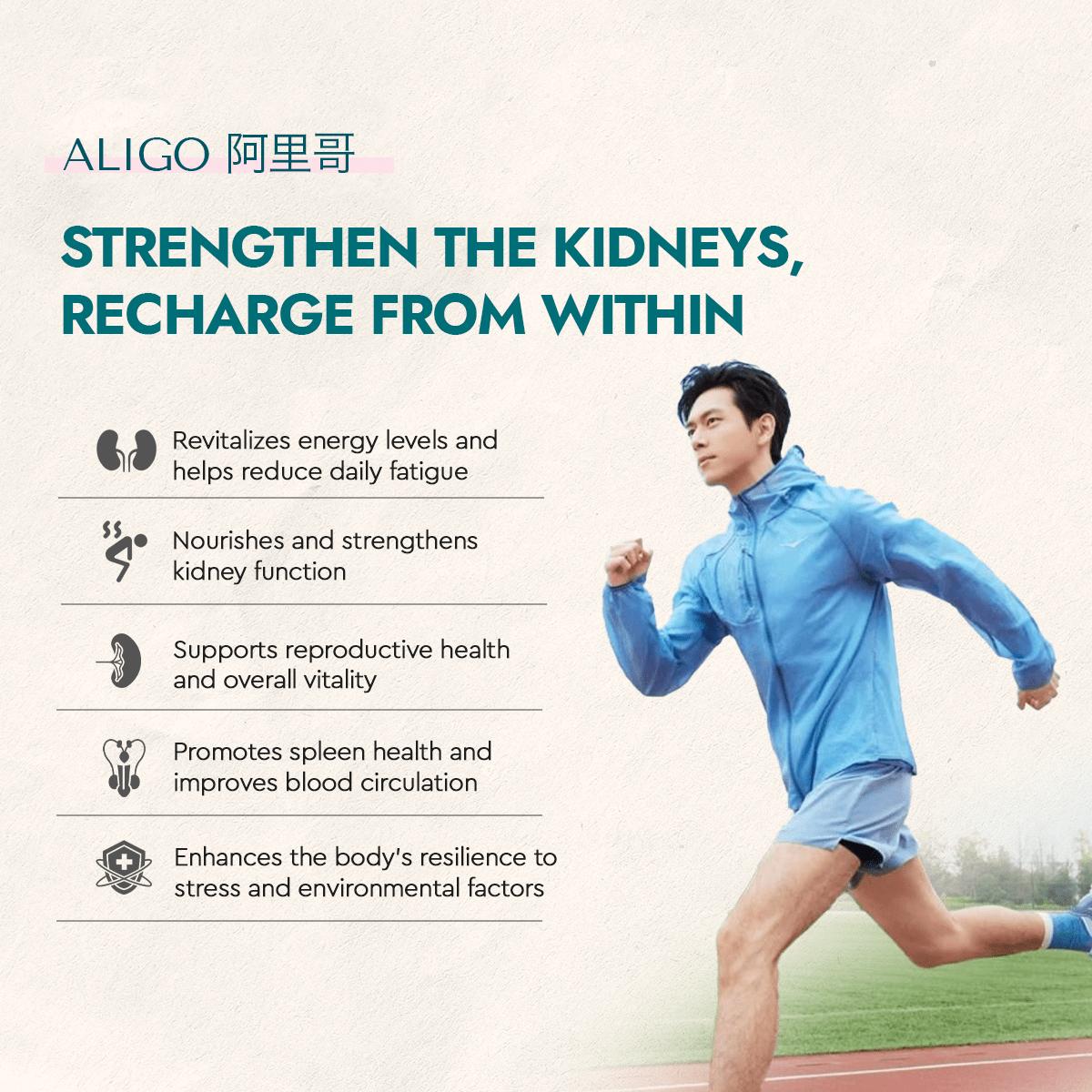 Aligo - Food Art Store