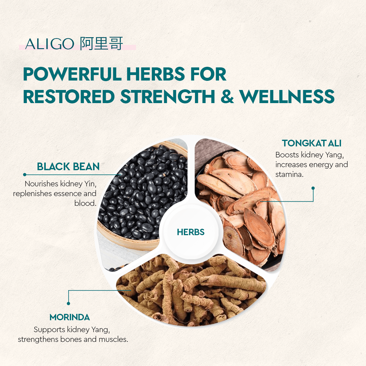 Aligo - Food Art Store