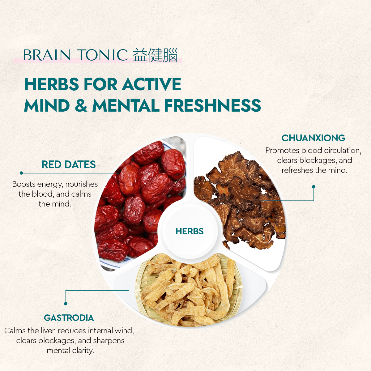 BeMindii/Brain Tonic - Food Art Store