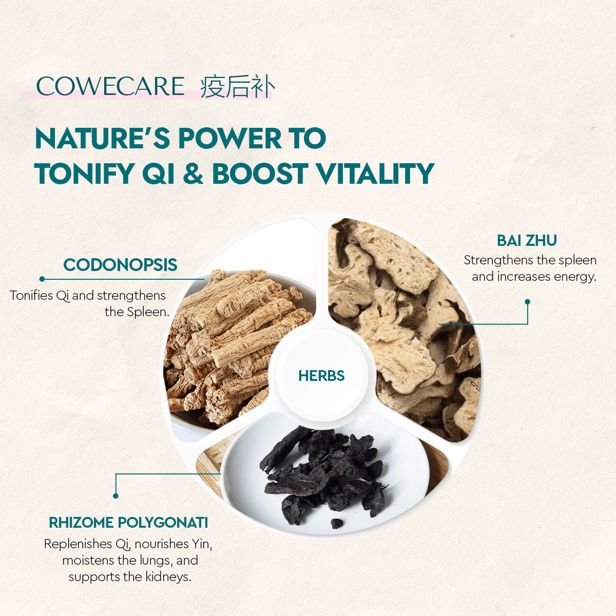 CoWeCare - Food Art Store