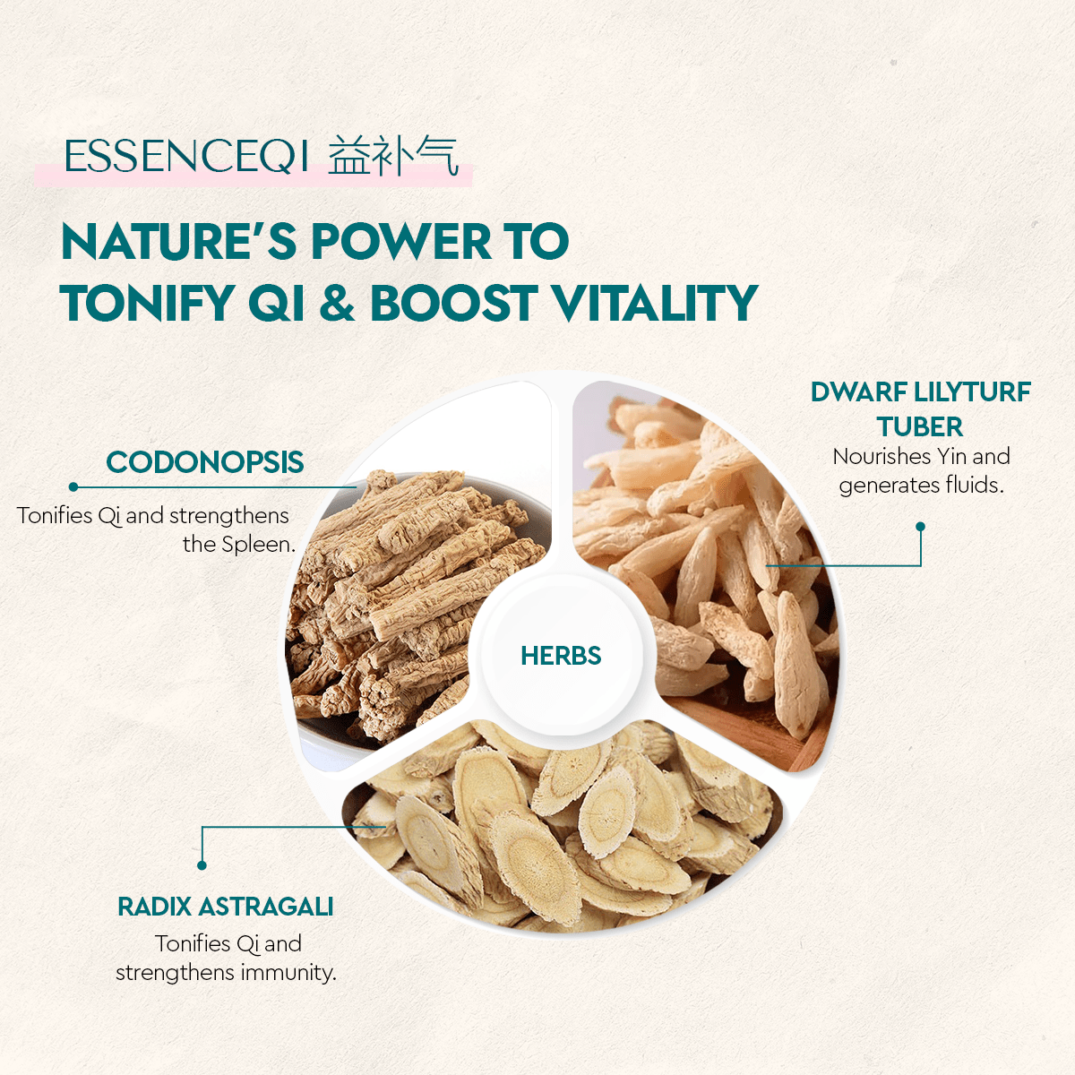 EssenceQi - Food Art Store