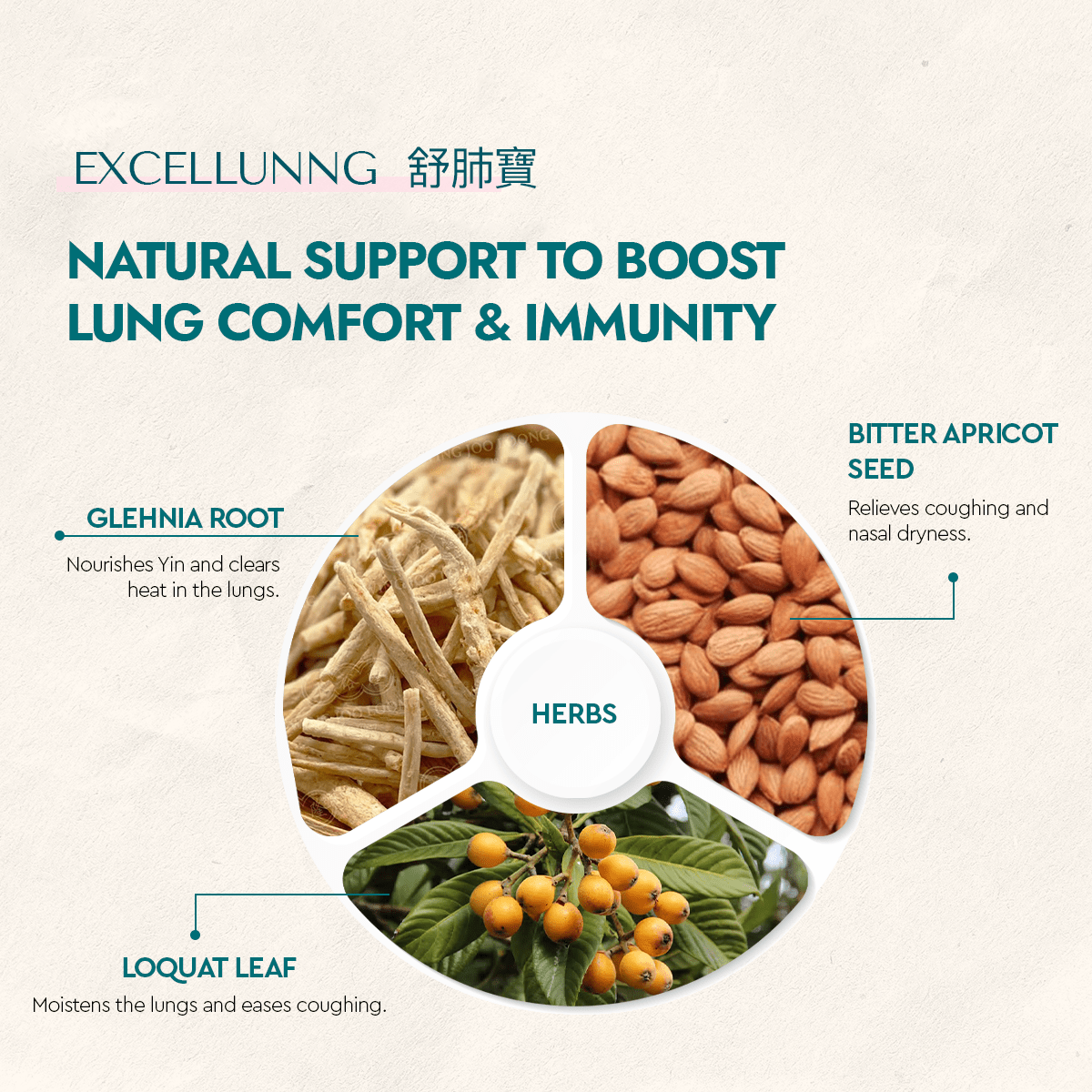 Excellunng - Food Art Store