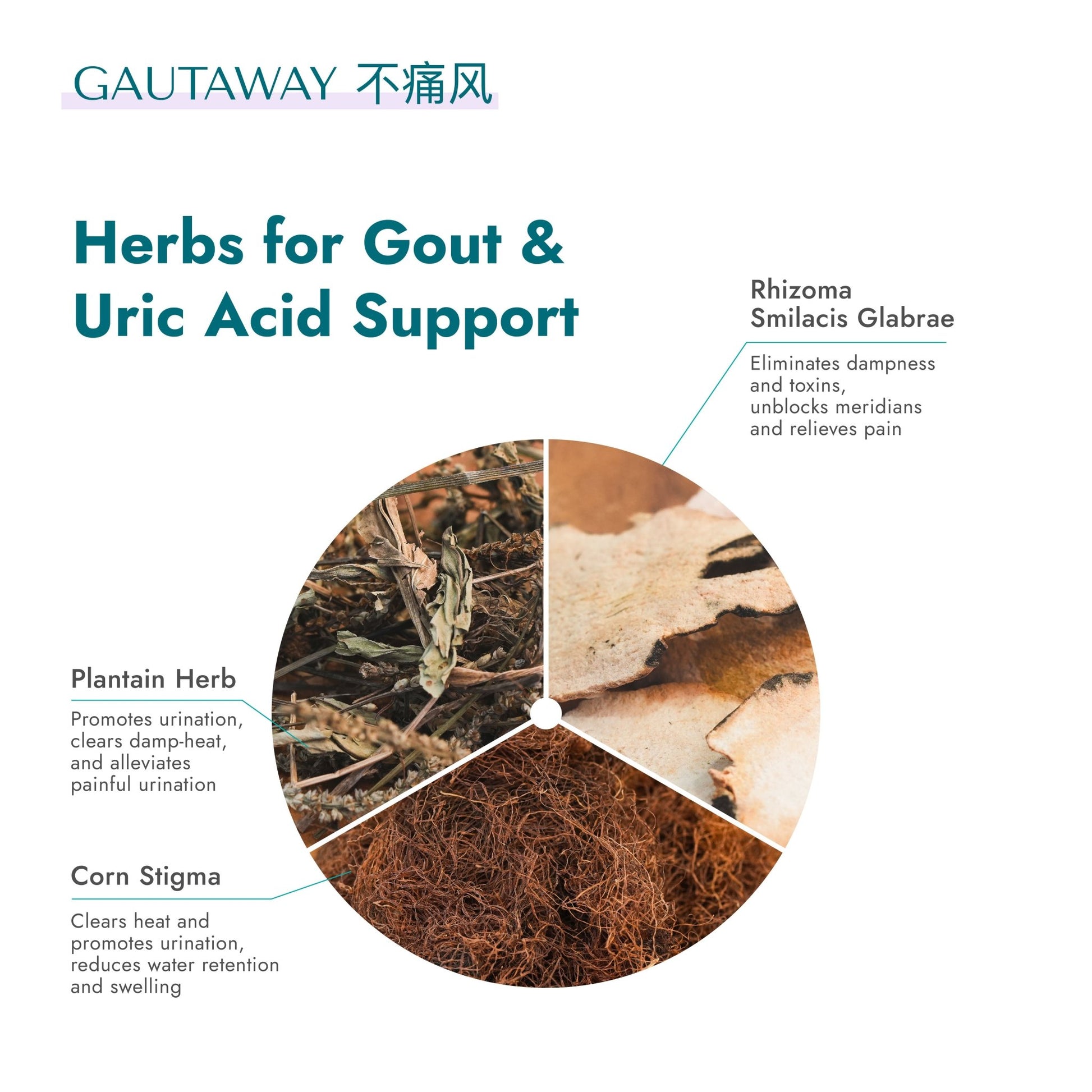 Gautaway - Food Art Store