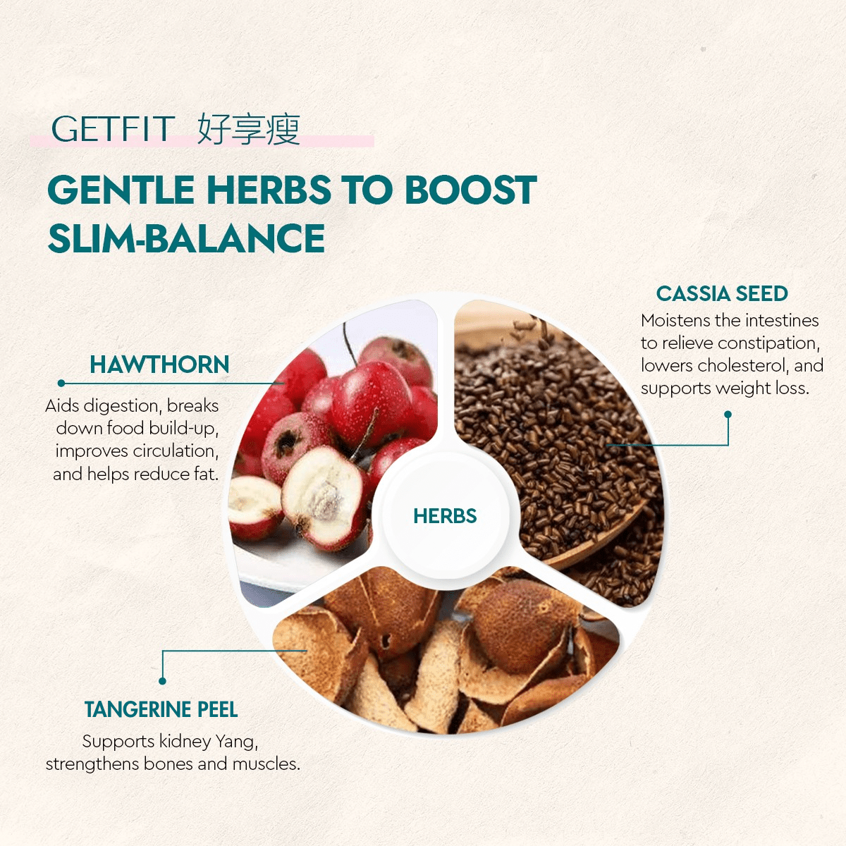 GetFit/GetSlim - Food Art Store