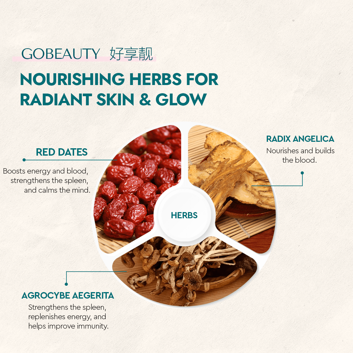 Go Beauty - Food Art Store