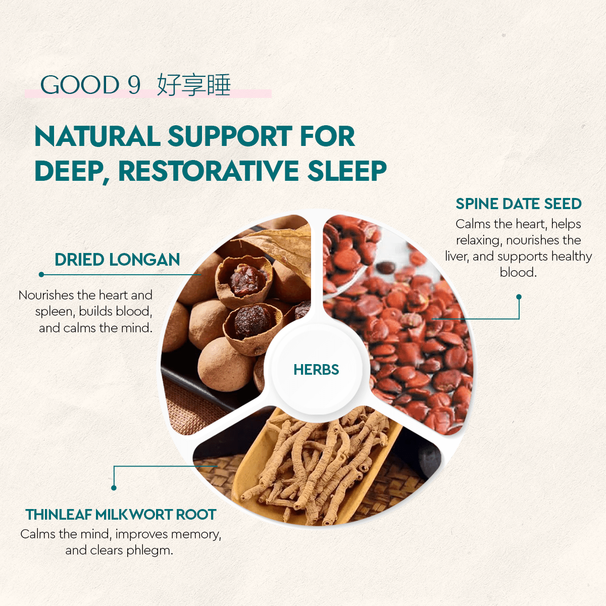 Good 9 - Food Art Store