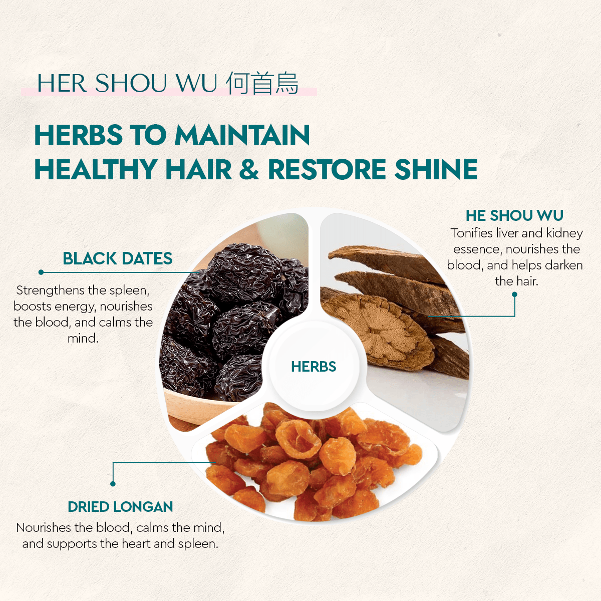 HeShouWu/HerShouWu - Food Art Store