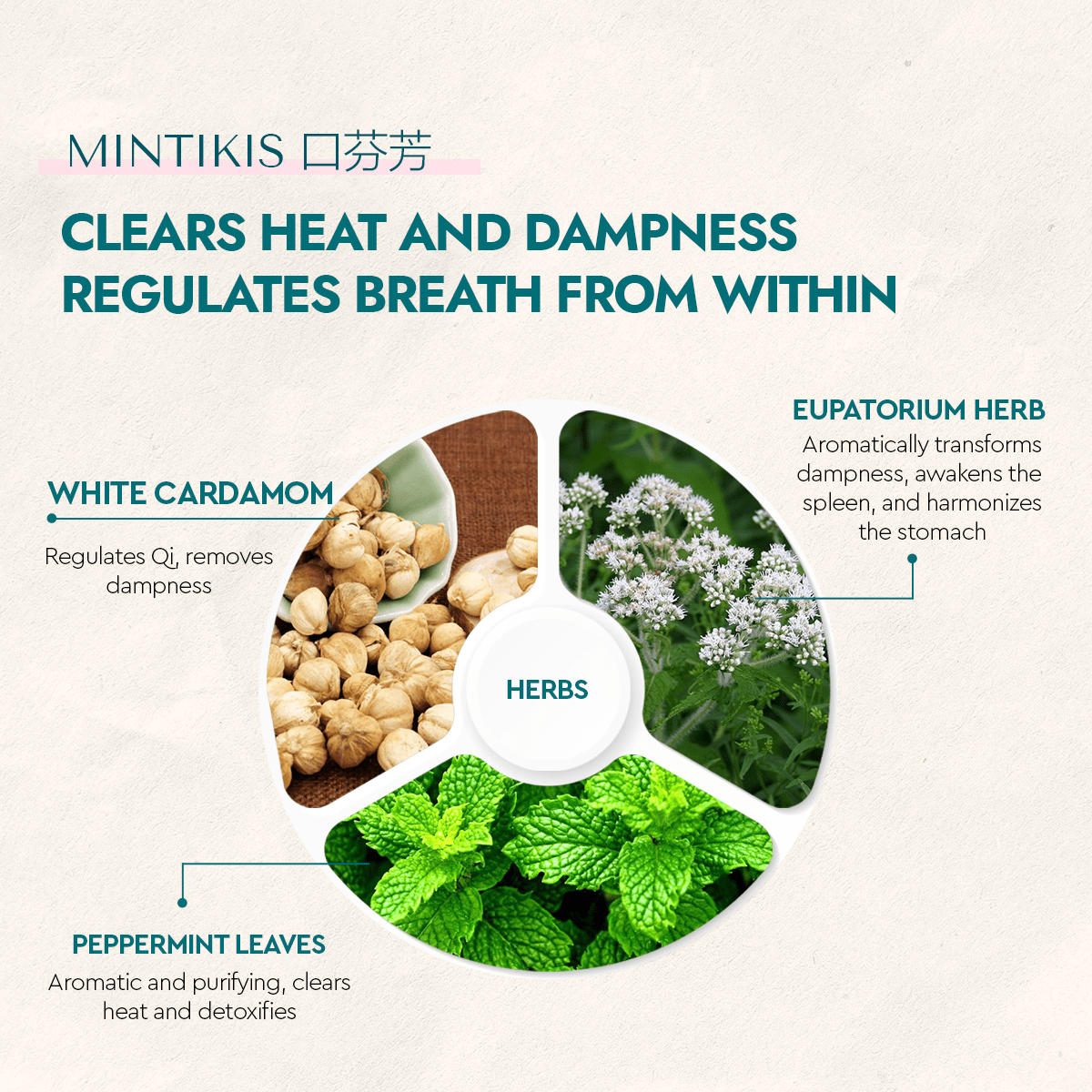 Mintikis - Food Art Store