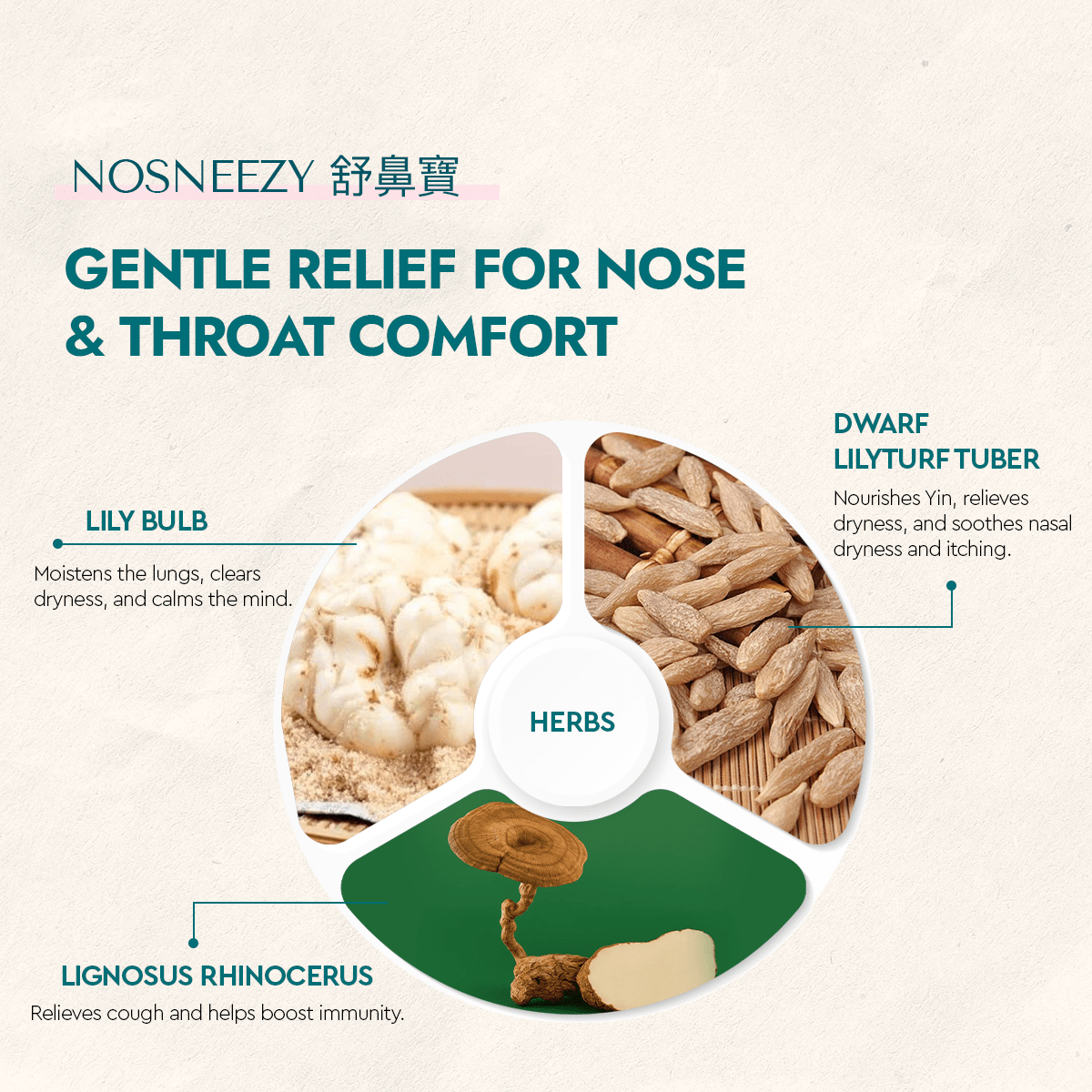 NoSneezy - Food Art Store