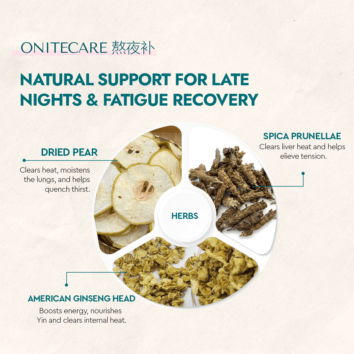 Onitecare - Food Art Store