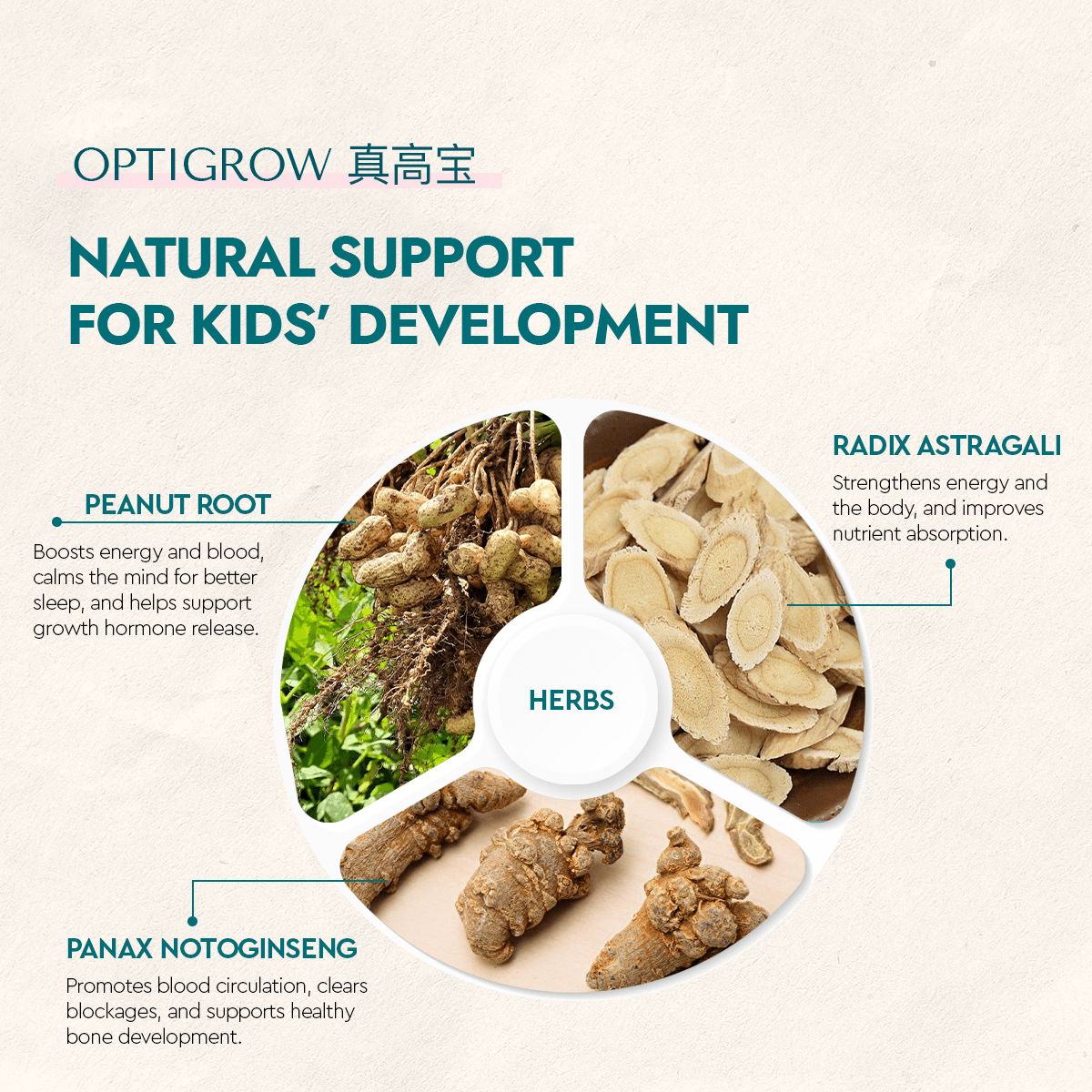 Optigrow - Food Art Store