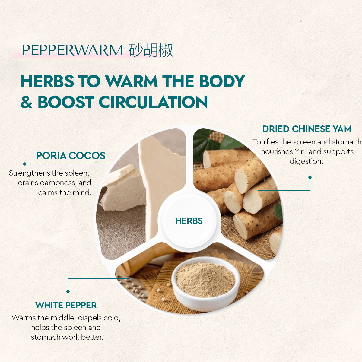 Pepperwarm - Food Art Store