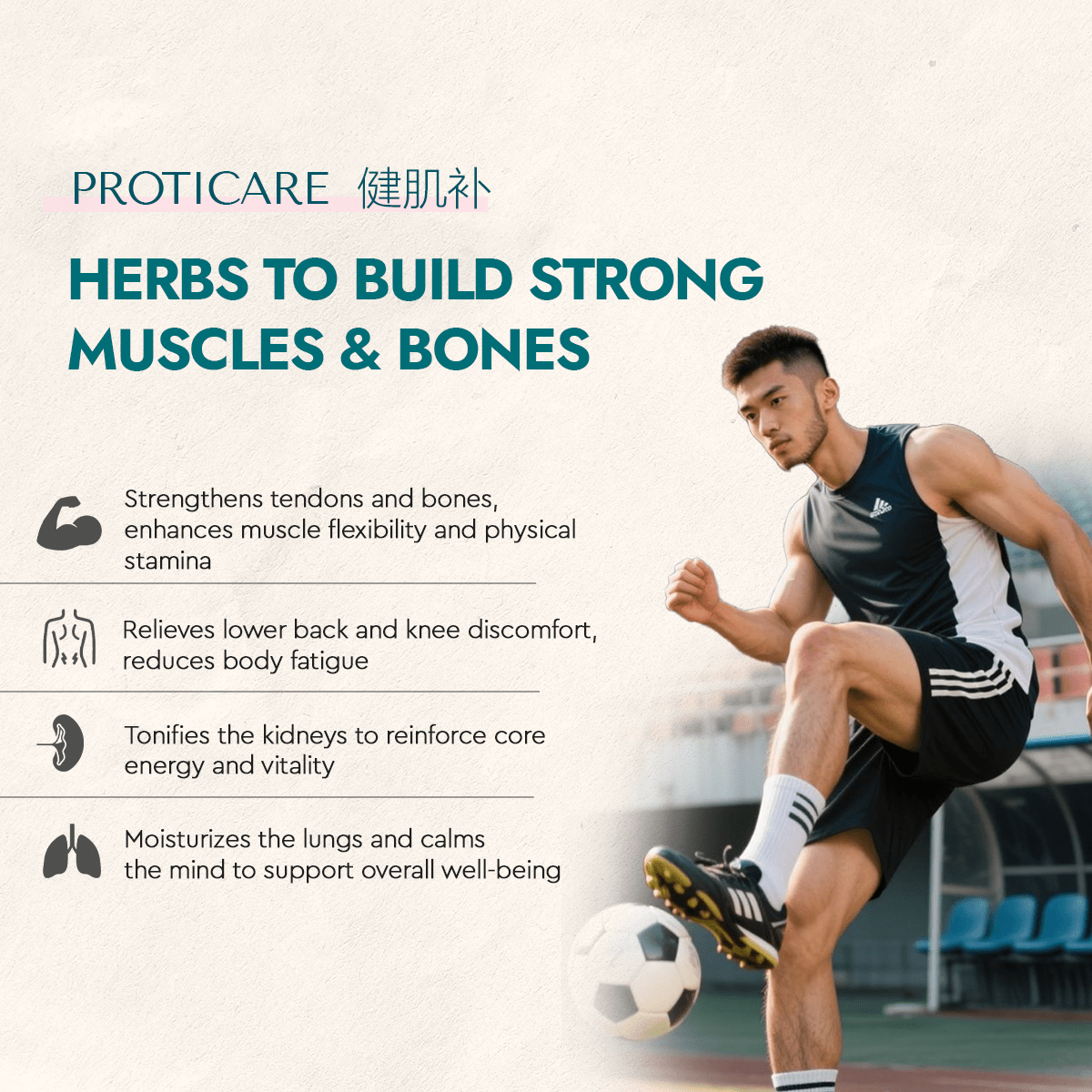 Proticare - Food Art Store