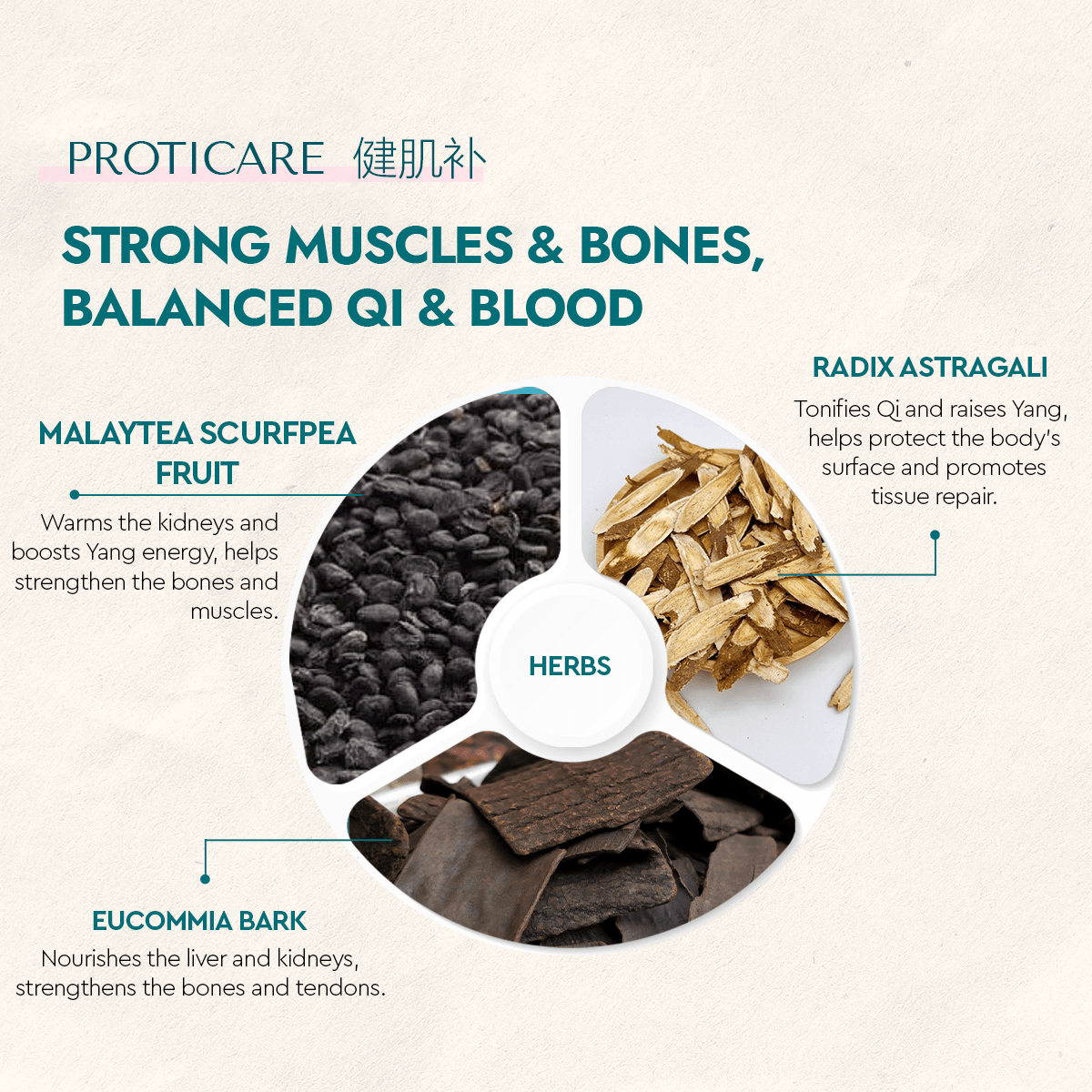 Proticare - Food Art Store