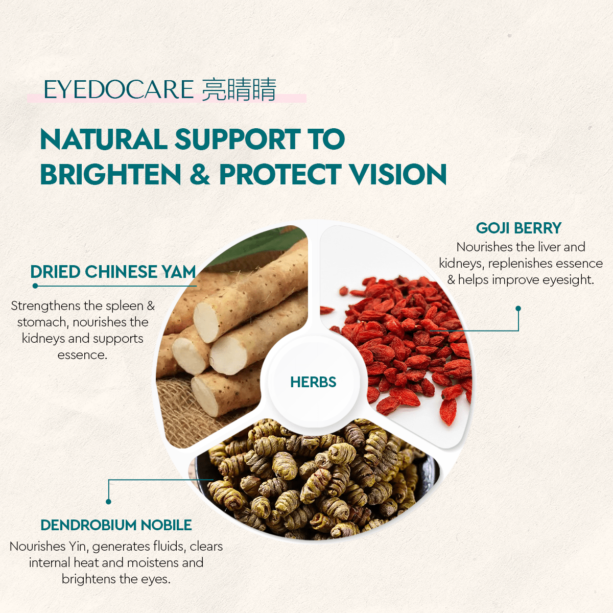 SeeInClear - Food Art Store