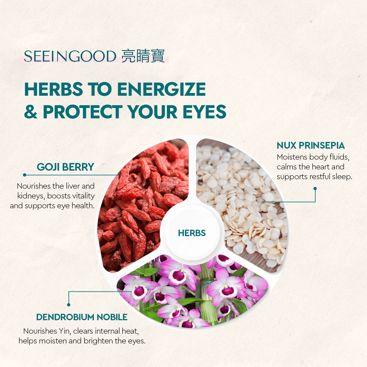 SeeInGood - Food Art Store